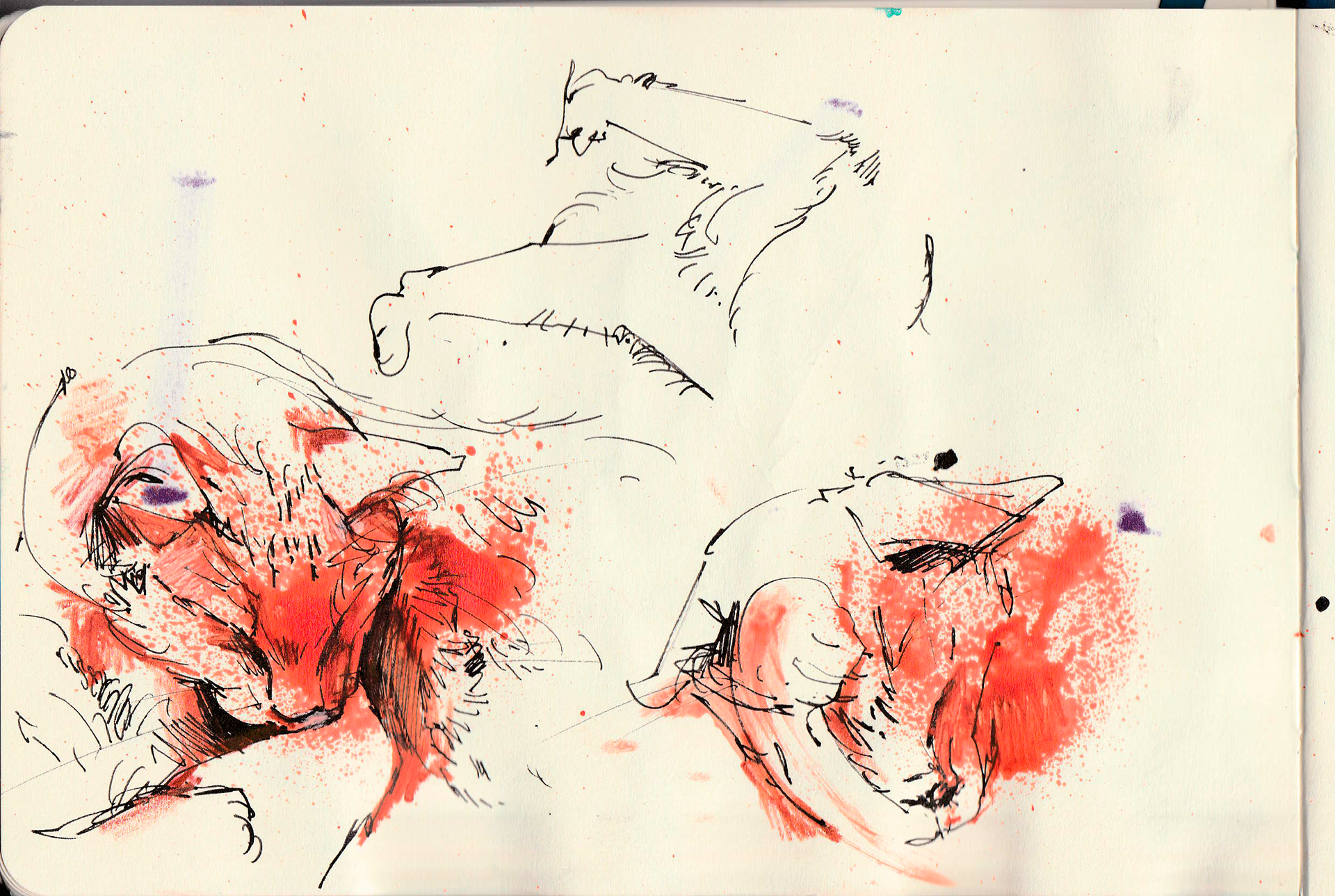 Project image 1